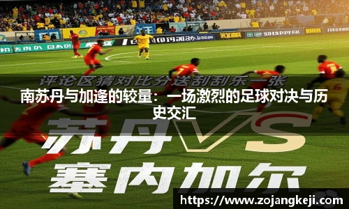 南苏丹与加逢的较量：一场激烈的足球对决与历史交汇